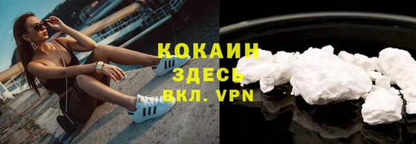 ешки Арсеньев