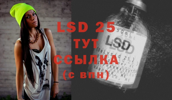 спиды Аркадак